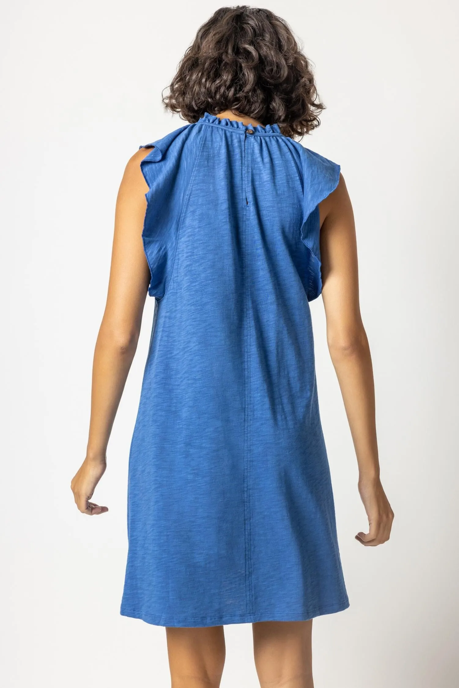 Ruffle Trim Sleeveless Dress