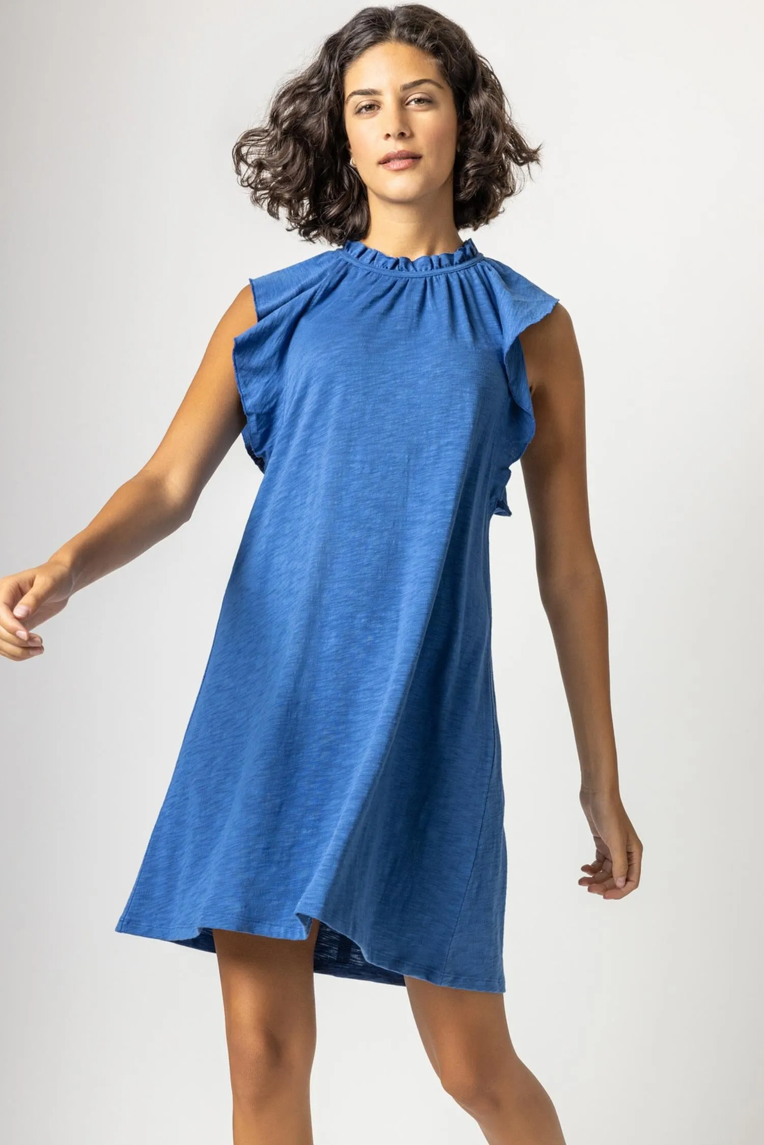 Ruffle Trim Sleeveless Dress